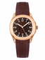Aqua Rose Gold with Chocolate Dial (40mm)
